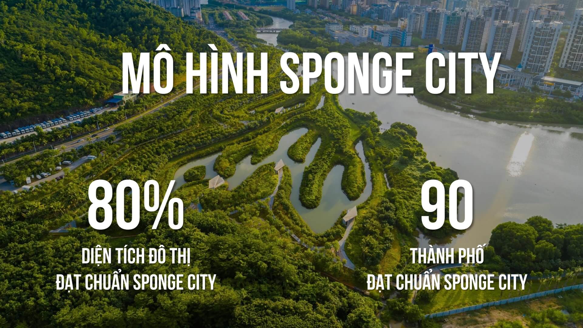 Mô Hình Sponge City Tại Charmora City – Đô Thị Phát Triển Bền Vững Tương Lai