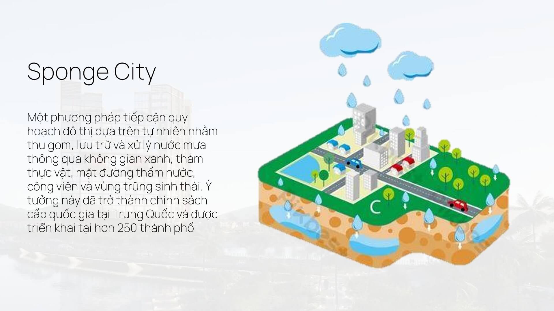 Mô Hình Sponge City Tại Charmora City – Đô Thị Phát Triển Bền Vững Tương Lai